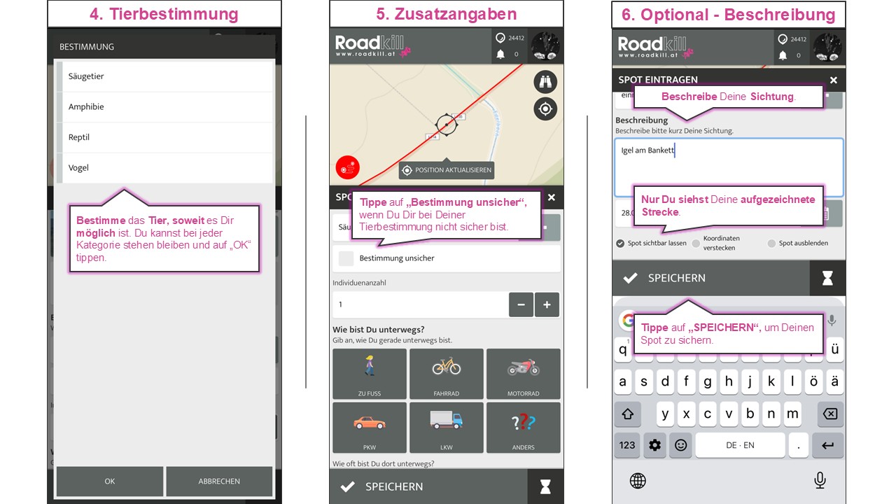 260302 Spot eintragen 2