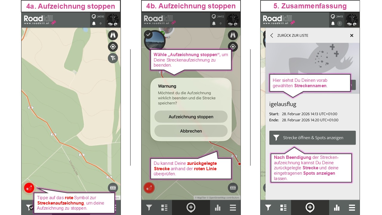 260306 Aufzeichnung Anleitung 2