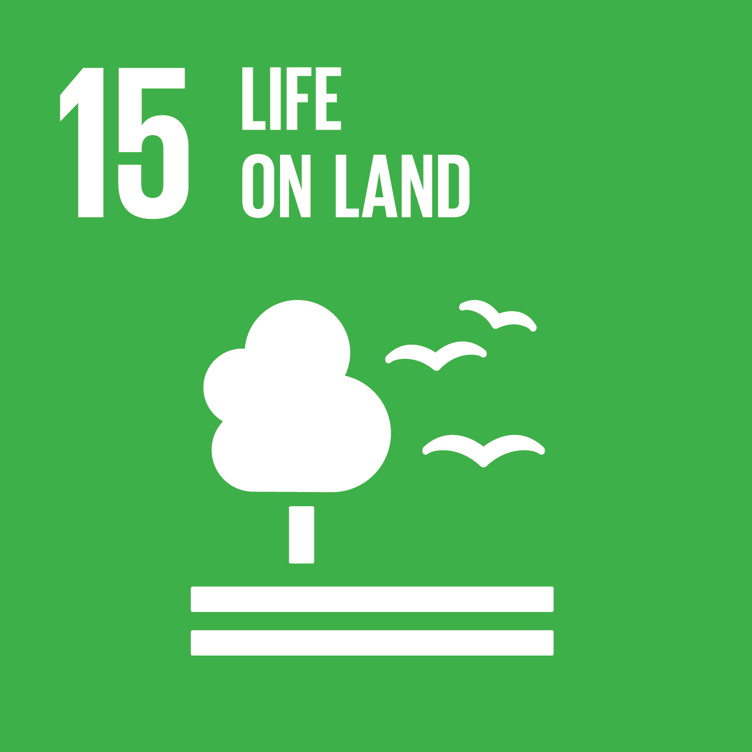 E SDG goals icons individual rgb 15