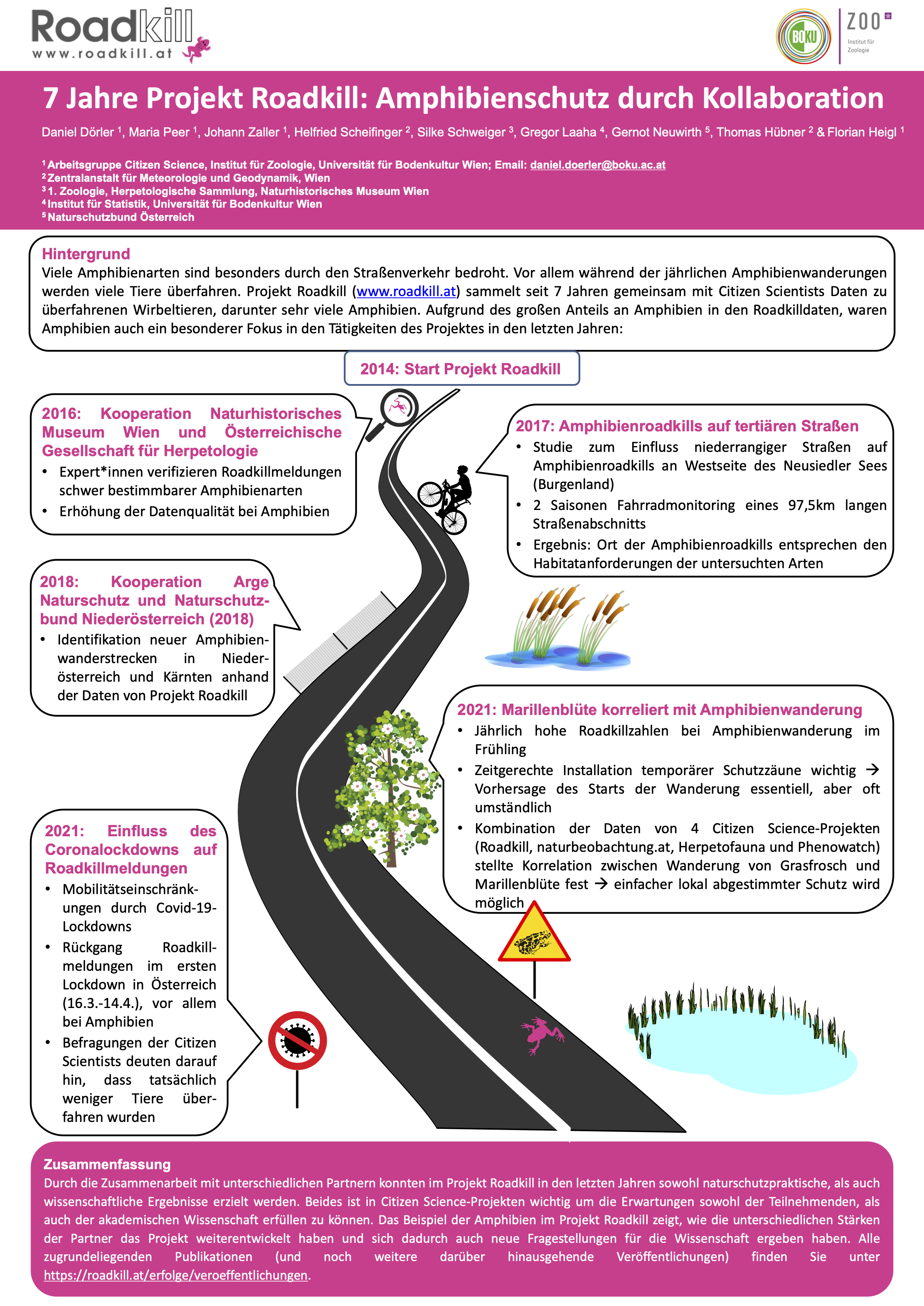 Poster Roadkill Amphibien mit Straße finalisiert